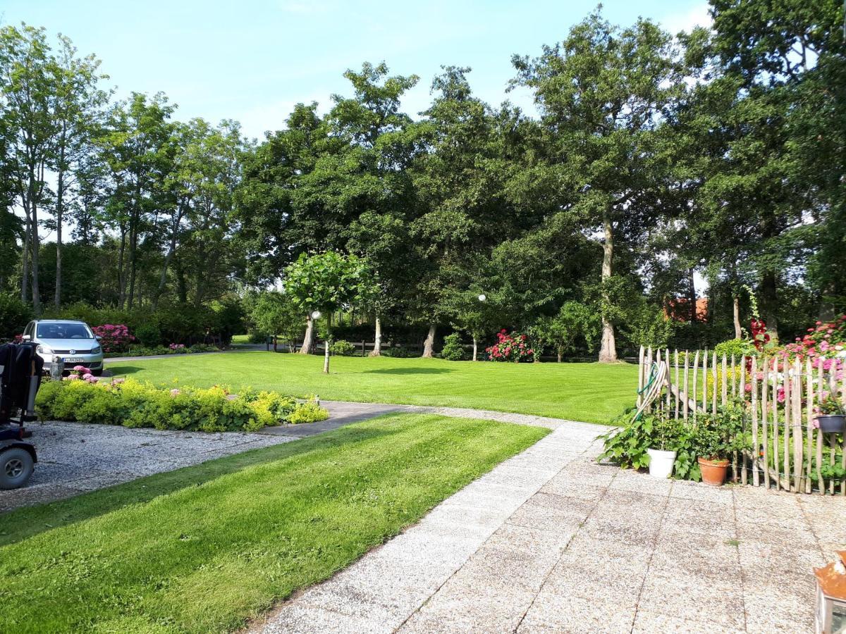 Boshut Schoorl Villa Exterior photo